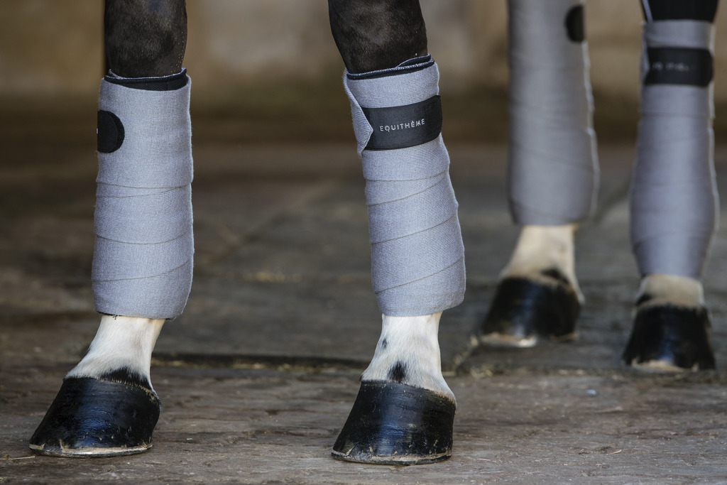 Bandes de repos EQUITHÈME