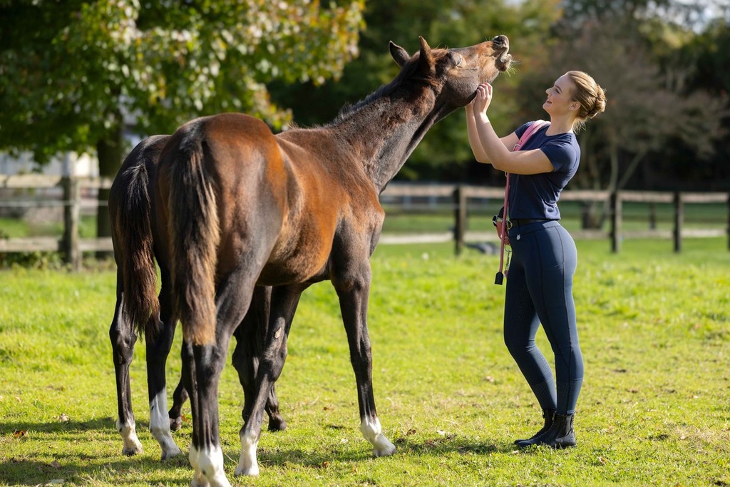 T-Shirt -Excellent- - Bleu foncé (13)