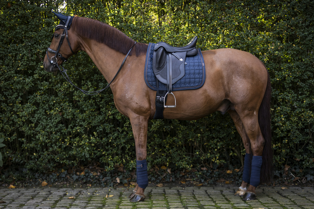 Bandes de polo LAMI-CELL "Vintage"