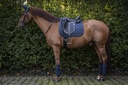 Bandes de polo LAMI-CELL "Vintage"