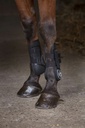 Guêtres NORTON "XTR"