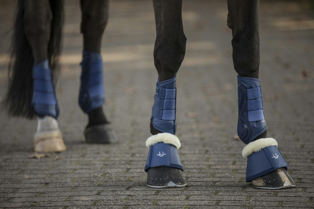 Guêtres dressage LAMI-CELL "LC"