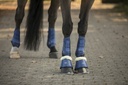 Guêtres dressage LAMI-CELL "LC"