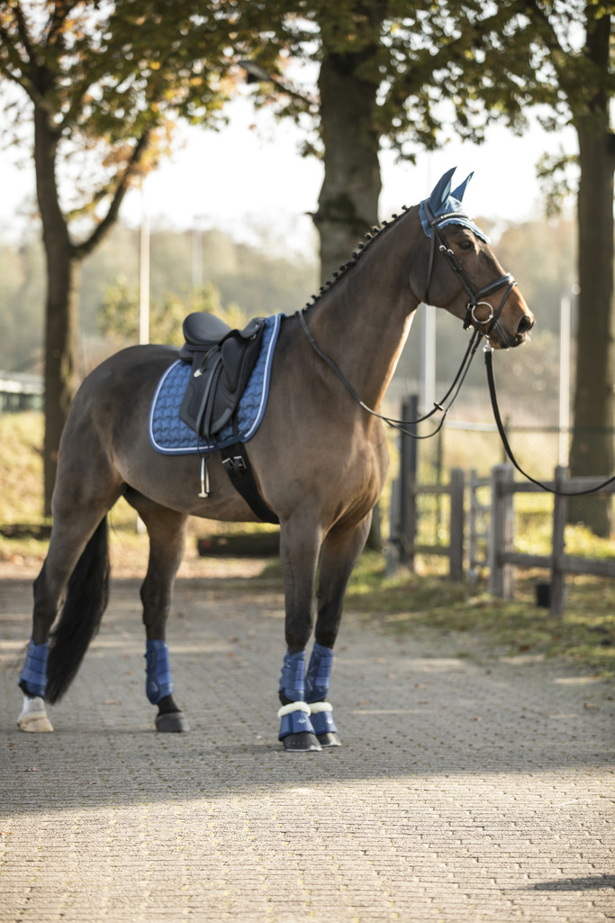 Guêtres dressage LAMI-CELL "LC"