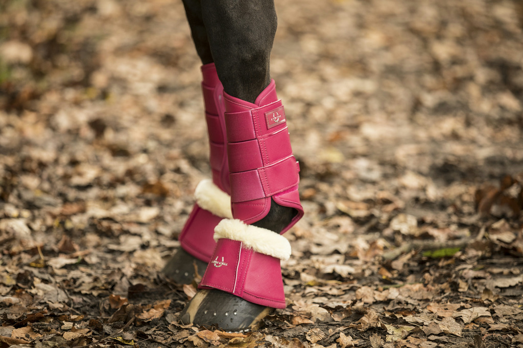 Guêtres dressage LAMI-CELL "LC"