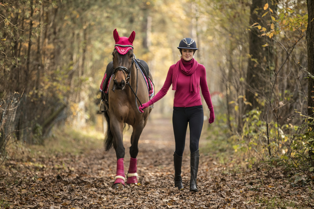 Guêtres dressage LAMI-CELL "LC"