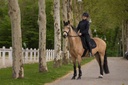 Blouson PRO SERIES "Foulée"