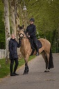 Blouson PRO SERIES "Foulée"
