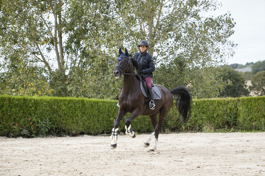 Blouson PRO SERIES "Foulée"