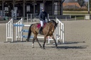 Blouson PRO SERIES "Equilibre"