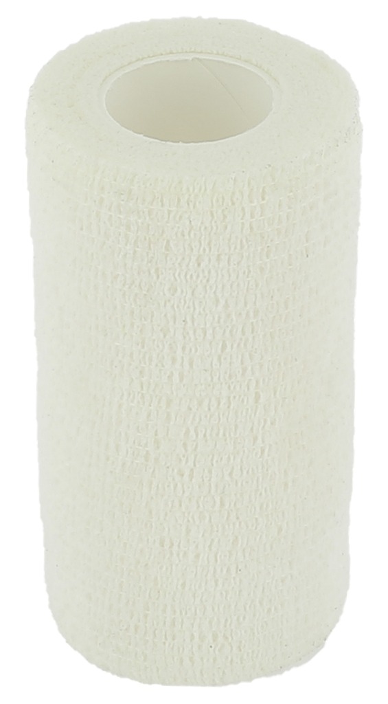 Bande de travail HIPPOTONIC "Flex-Wrap"