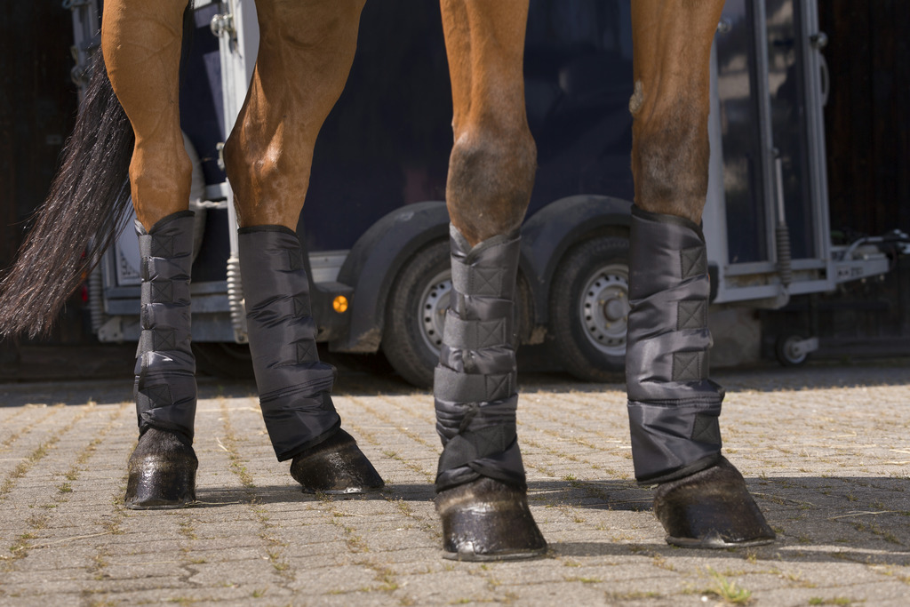 Guêtres de transport basses RIDING WORLD