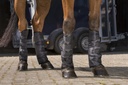 Guêtres de transport basses RIDING WORLD
