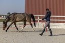 Veste matelassée PRO SERIES "Amble"