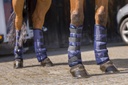 Guêtres de transport basses RIDING WORLD