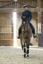 Veste matelassée PRO SERIES "Amble"