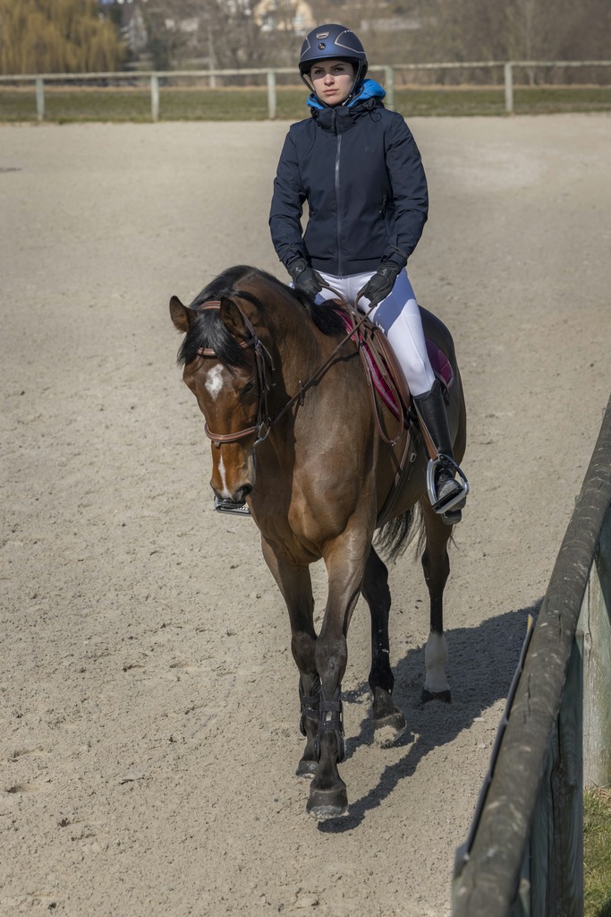 Blouson PRO SERIES "Equilibre"