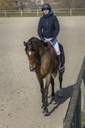 Blouson PRO SERIES "Equilibre"