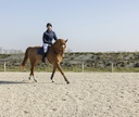 Veste matelassée PRO SERIES "Diagonal"