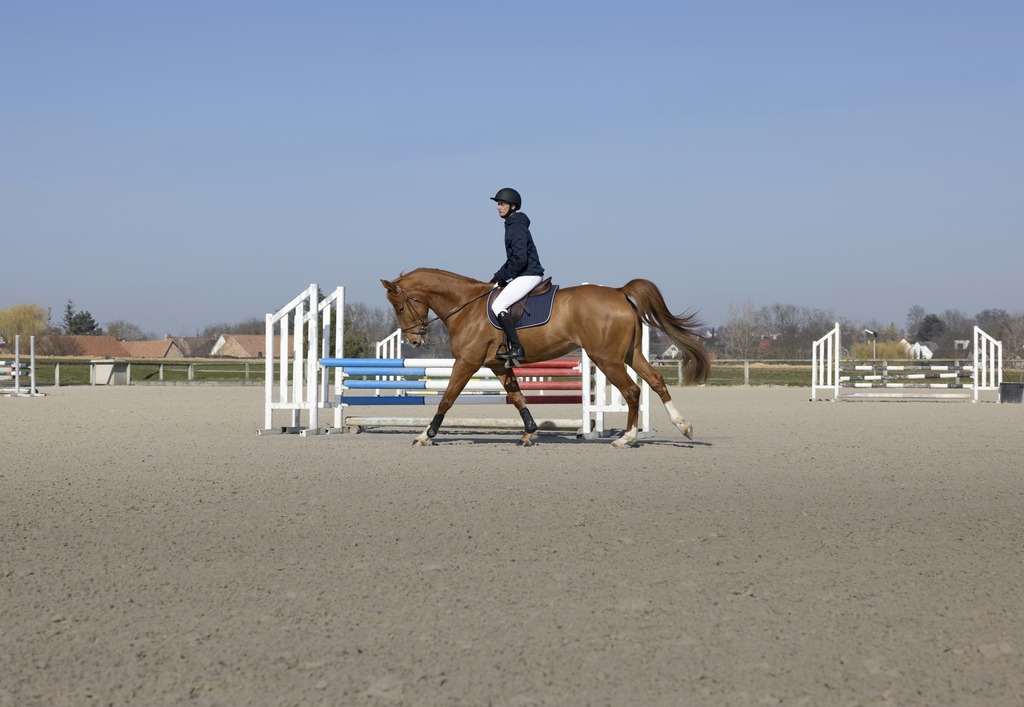 Veste matelassée PRO SERIES "Diagonal"