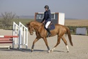 Veste matelassée PRO SERIES "Diagonal"