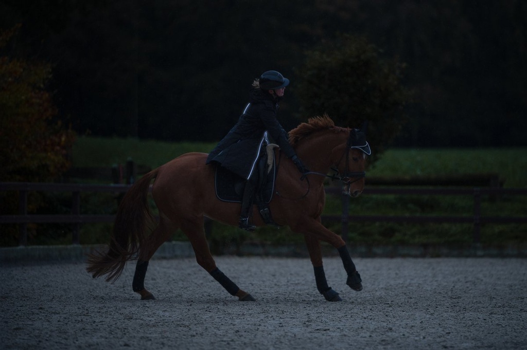 Manteau -Honey- - Noir (42)