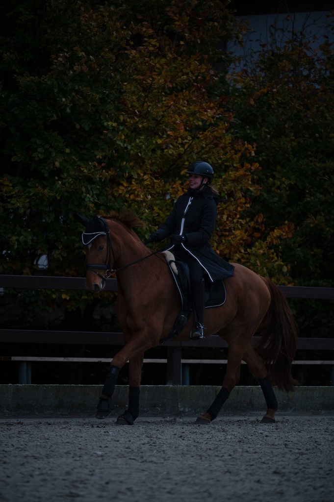 Manteau -Honey- - Noir (45)