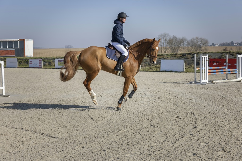 Veste matelassée PRO SERIES "Diagonal"
