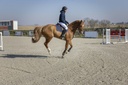 Veste matelassée PRO SERIES "Diagonal"