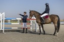 Veste matelassée PRO SERIES "Diagonal"