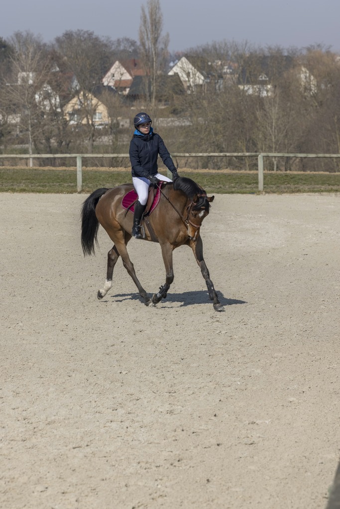Blouson PRO SERIES "Equilibre"