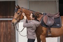 Selle d'obstacles ERIC THOMAS "DTA Antares"