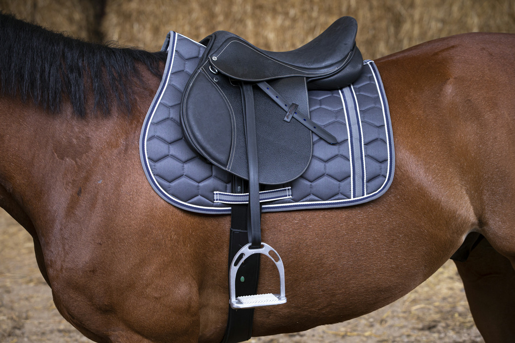 Selle d'obstacles ERIC THOMAS FITTER grainée