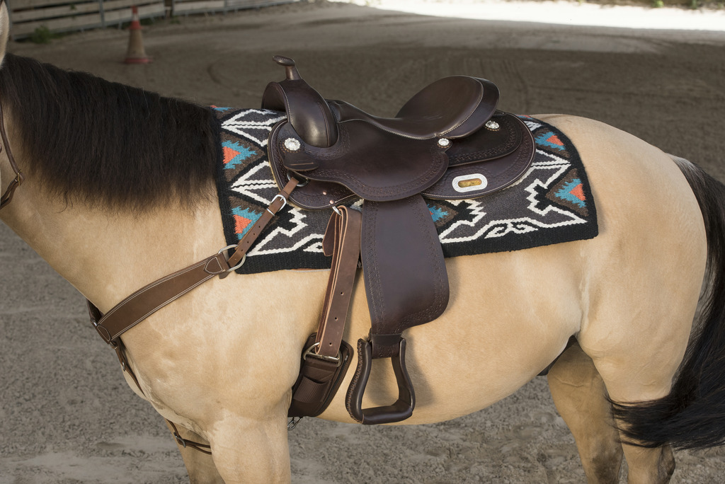 Selle WESTRIDE by Franck Perret "Arvada"