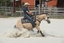 Selle WESTRIDE by Franck Perret "Arvada"