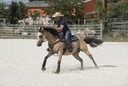 Selle WESTRIDE by Franck Perret "Arvada"