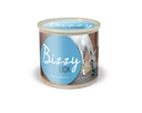 Pierre BIZZY HORSE "Bizzy Lick"