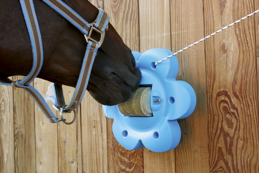 Support fleur OFFICINALIS® "Lollyroll"