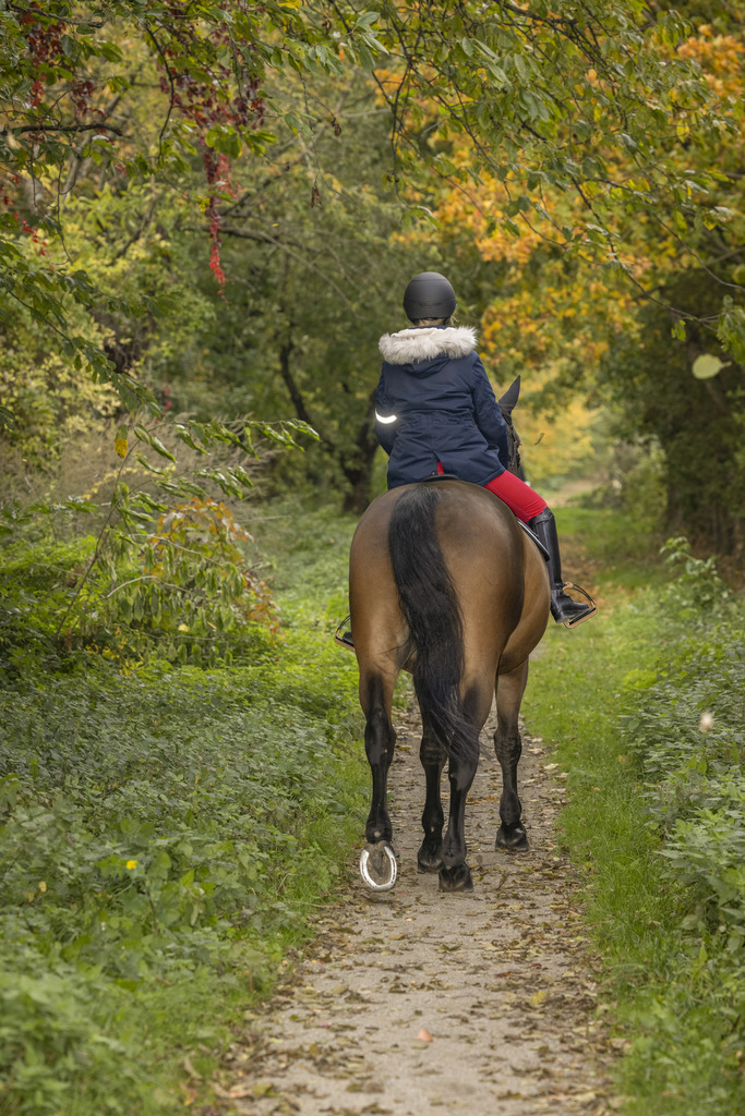 Parka EQUITHÈME "Shelly"