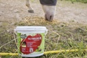 Nutrilife+ RAVENE