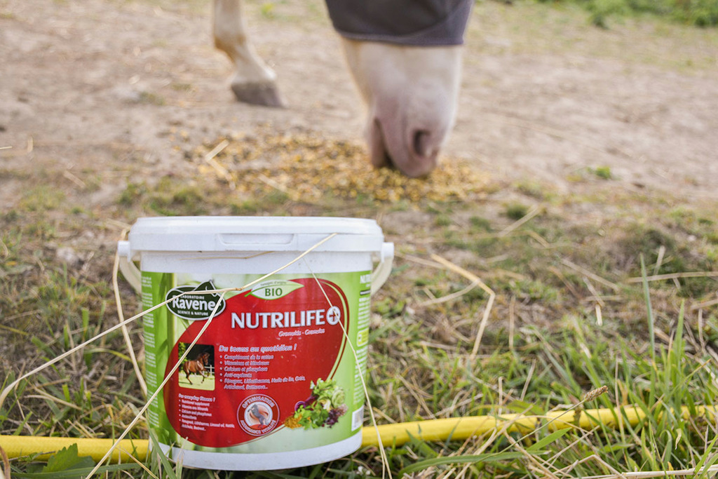 Nutrilife+ RAVENE