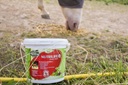 Nutrilife+ RAVENE