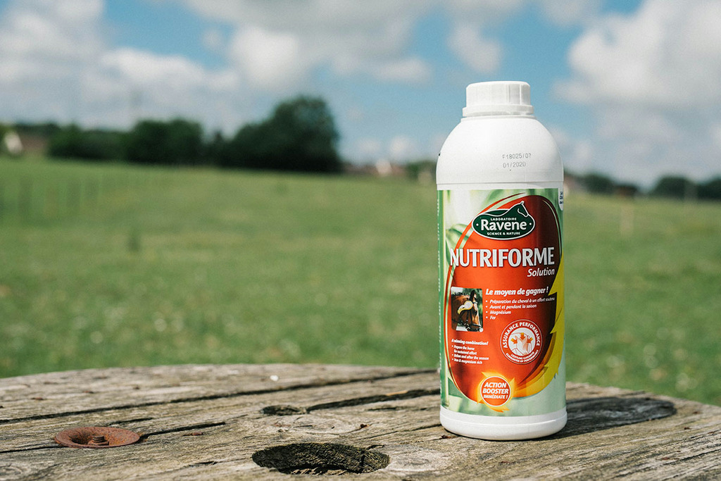 Nutriforme RAVENE