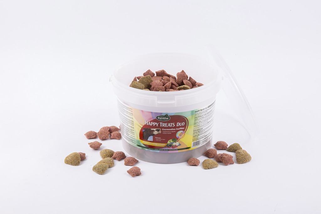 Happy treats duo RAVENE