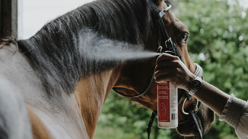 Démêlant lustrant REKOR "Show Coat"