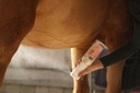 Easy Shine RAVENE Intense, Recharge
