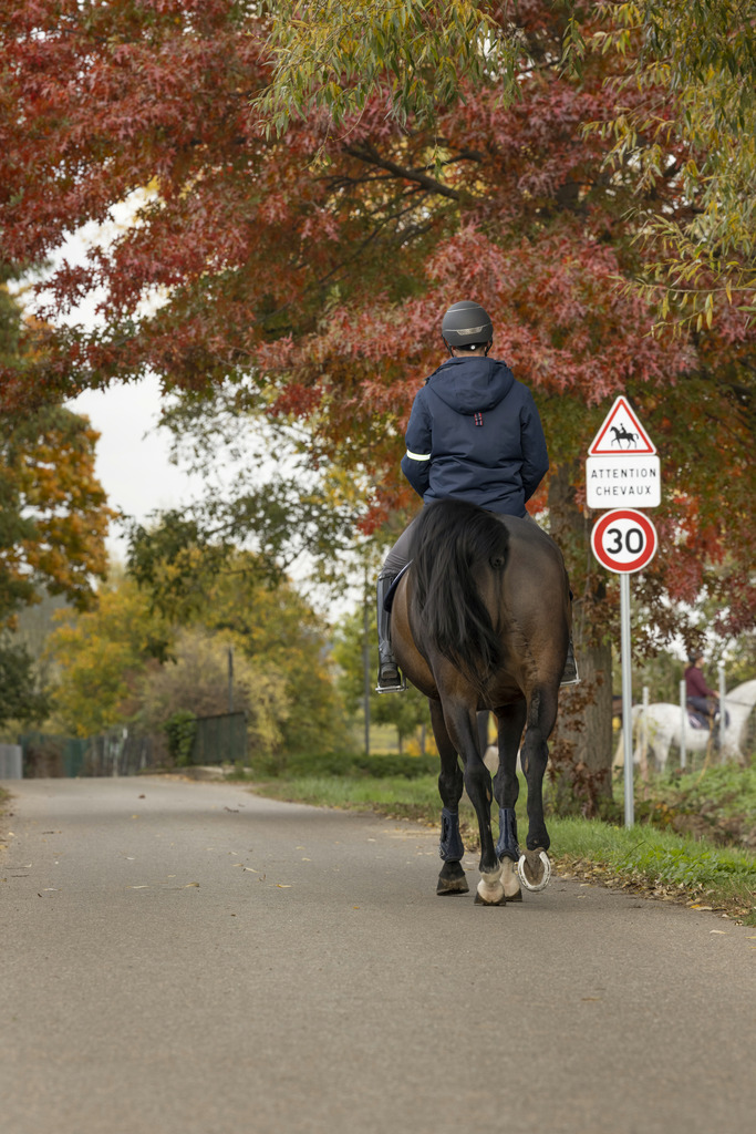 Parka EQUITHÈME "Tom"