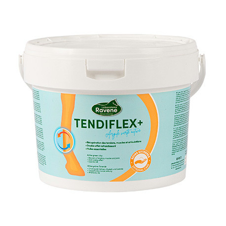 Argile RAVENE "Tendiflex +"