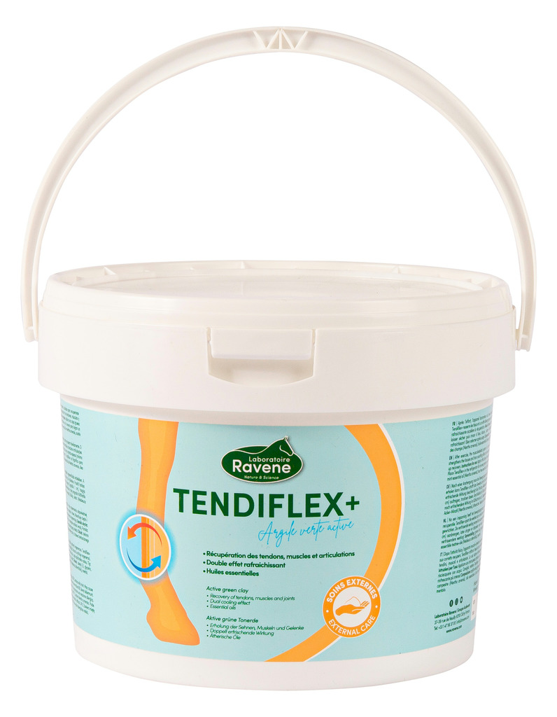 Argile RAVENE "Tendiflex +"