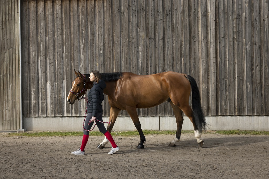 Veste matelassée EQUITHÈME "Lara"